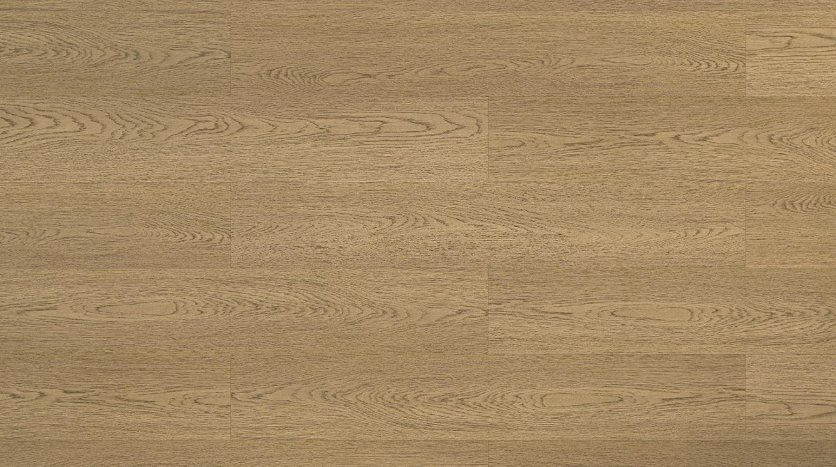 DSQ7006