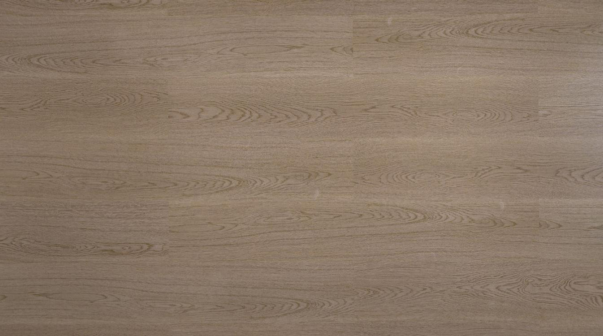 DSQ7008